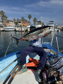 San Jose del Cabo Report Photo 2