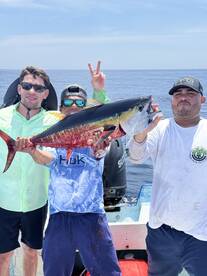 San Jose del Cabo Report Photo 1