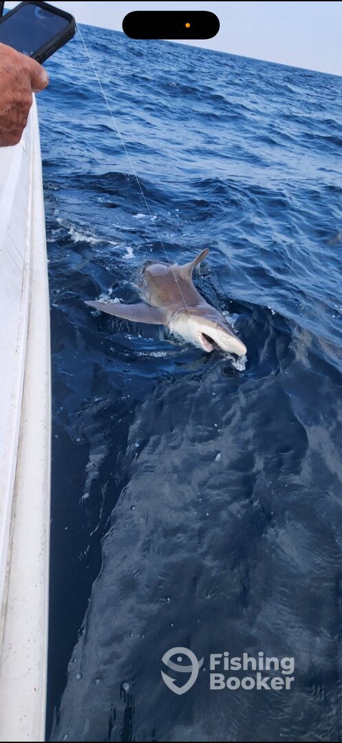 Holden Beach Report Photo 0