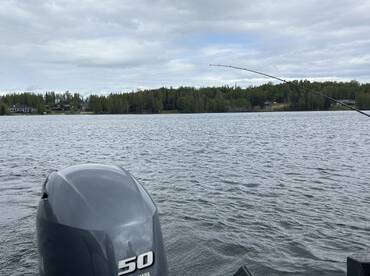 Kenai Report Photo 2