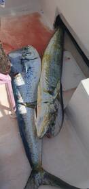 Playa Del Carmen Report Photo 1