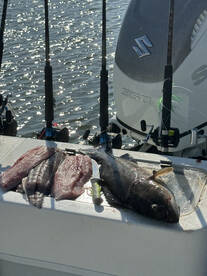 Beaufort Report Photo 2