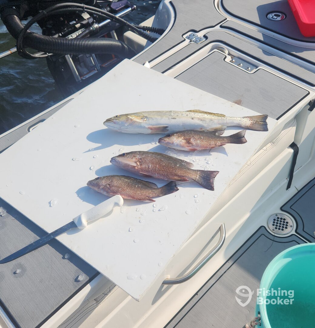 Pensacola Beach Report Photo 0