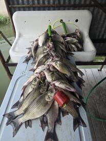 West Tawakoni Report Photo 2