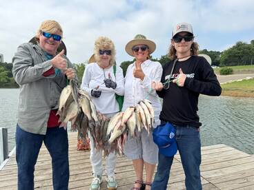 Grapevine Report Photo 2