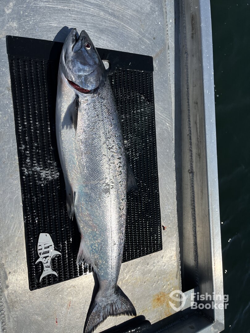 Sooke Report Photo 0