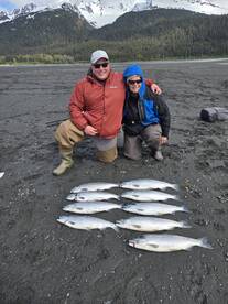 SOCKEYE SALMON 