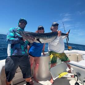 Bites are heating up and so is Cabo 