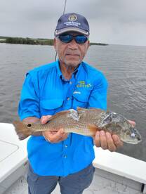 Shark almost got our Red!