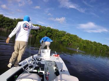 Everglades City Report Photo 1