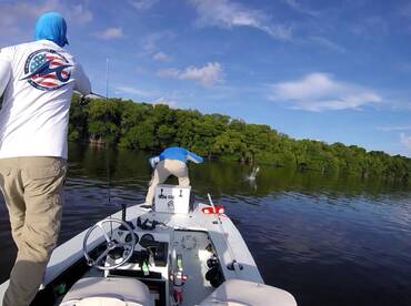 Everglades City Report Photo 2