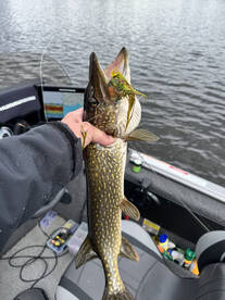 Rhinelander Report Photo 2