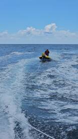 Funchal Report Photo 2
