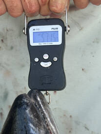 Miami Report Photo 1