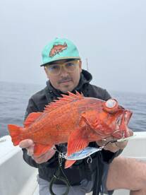 Quick limits on Reds