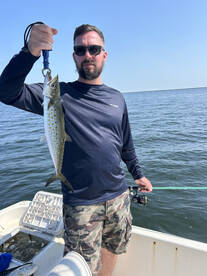 Punta Gorda Report Photo 1