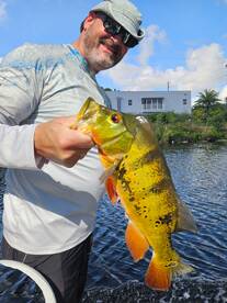 Delray Beach Report Photo 2