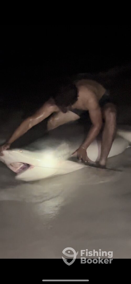 Destin Report Photo 0