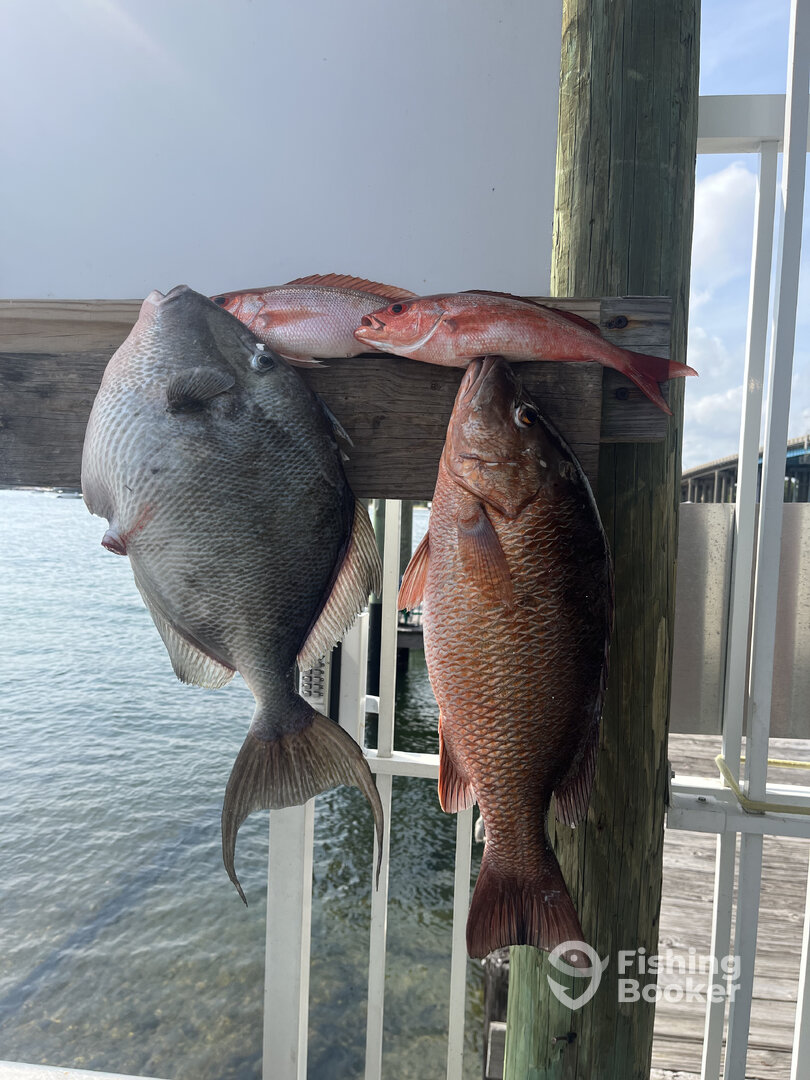 Fort Walton Beach Report Photo 0
