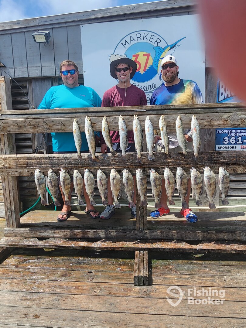 Corpus Christi Report Photo 0