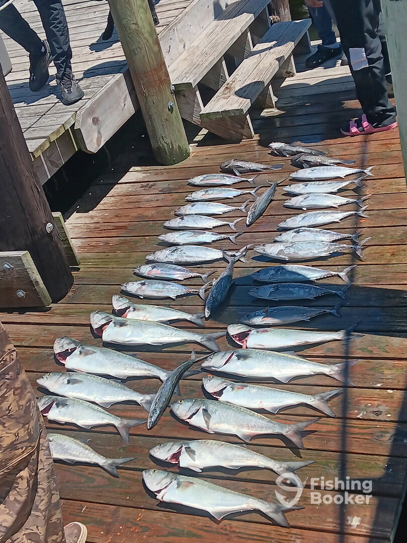 Wanchese Report Photo 0