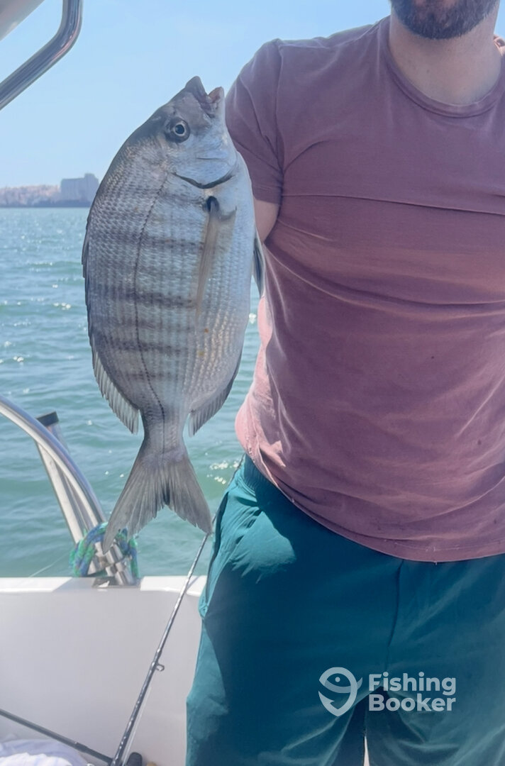 Lisbon Report Photo 0