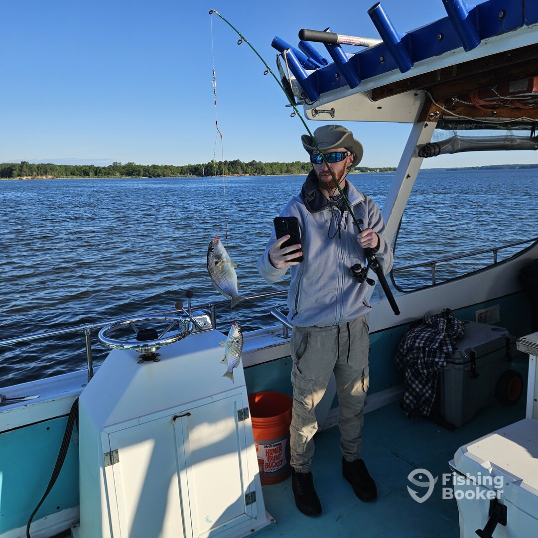 Solomons Report Photo 0
