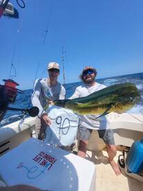 Edisto Island Report Photo 1