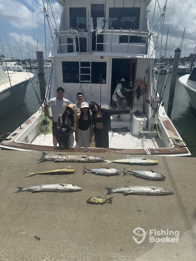 Miami Report Photo 0