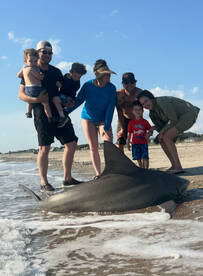Folly Island Report Photo 4