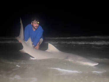Folly Beach Report Photo 2
