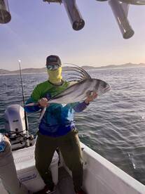 San Jose del Cabo Report Photo 1