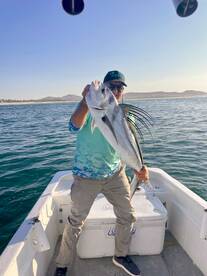 San Jose del Cabo Report Photo 2