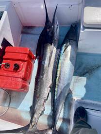 DALIKEN SPORTFISHING BOOK NOW!