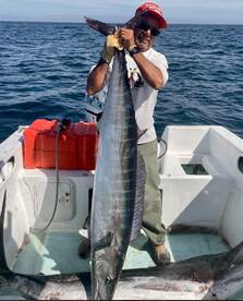 San Jose del Cabo Report Photo 2