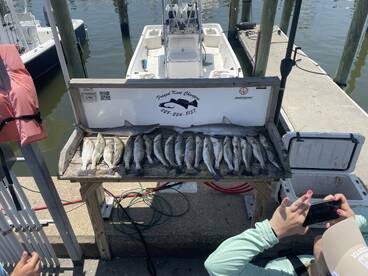 Trout