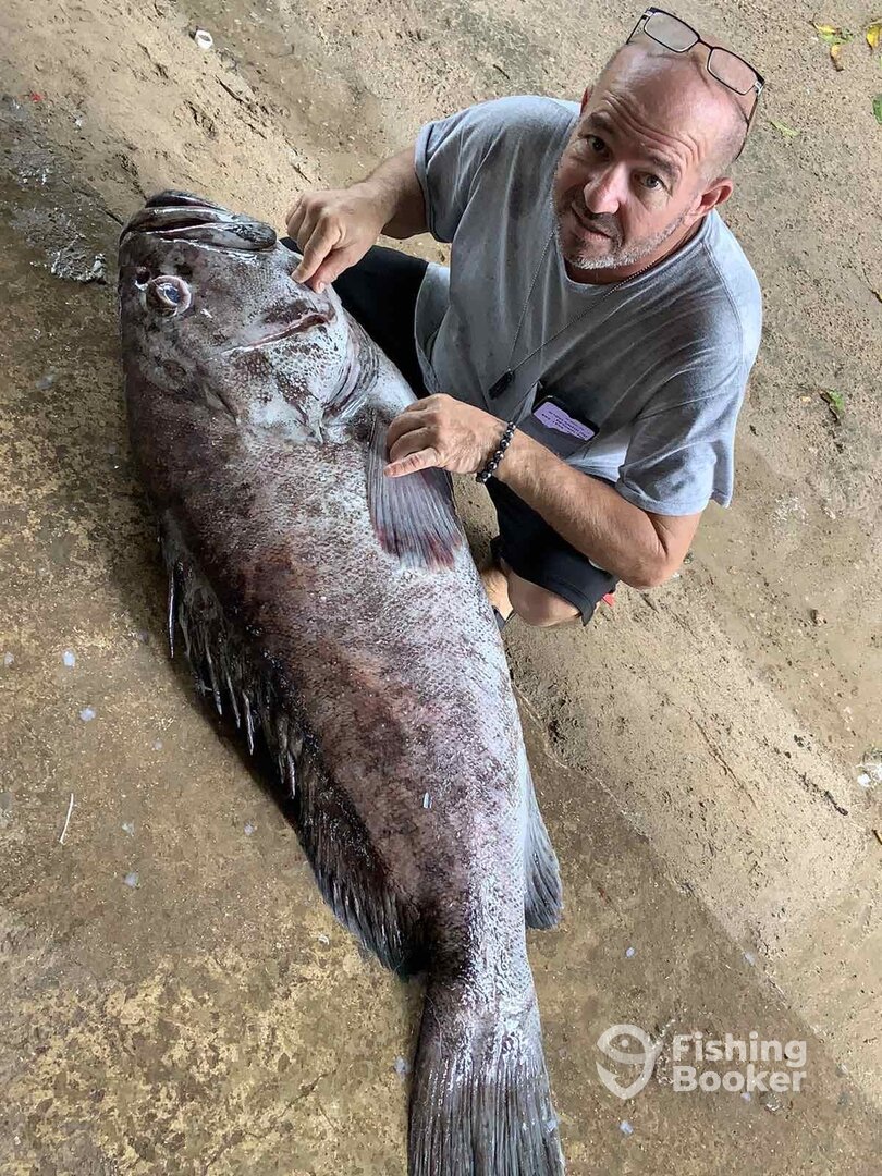 Fiji Report Photo 0