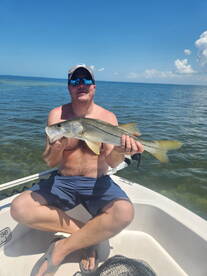 More snook