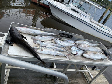 Little River Report Photo 2