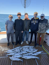 Limits of coho for everyone