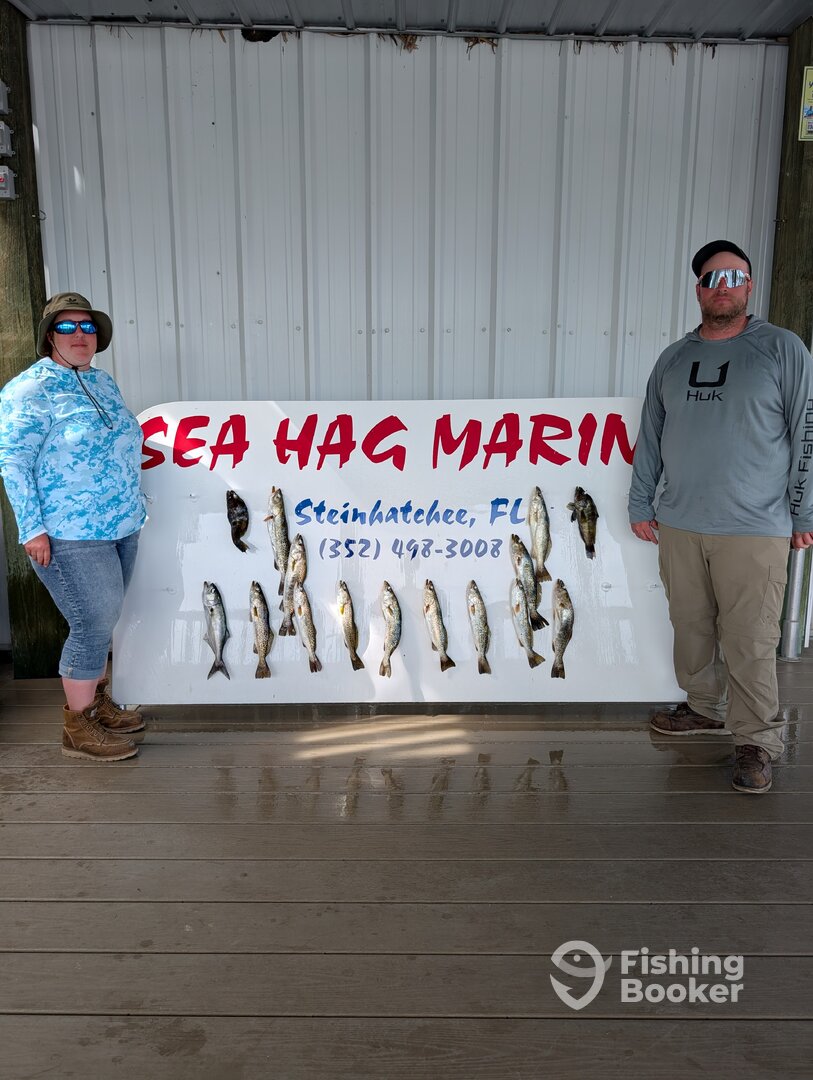 Steinhatchee Report Photo 0