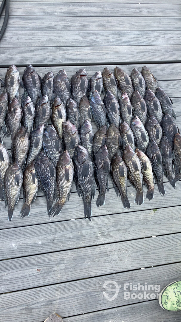 Neptune City Report Photo 0