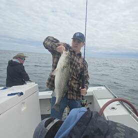 Narragansett Report Photo 2