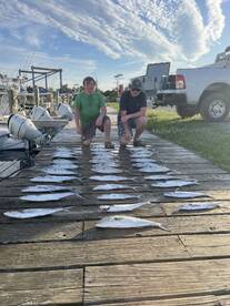 really good Spanish mackerel and bonita 