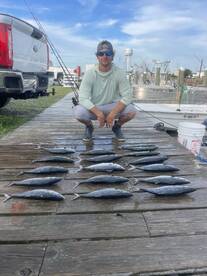 bonita mackerel bite really good 