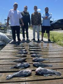 Shipwreck trips catch fish 