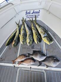 Mahi time!