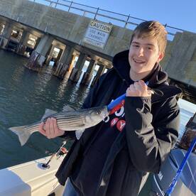 Ocean City Report Photo 1