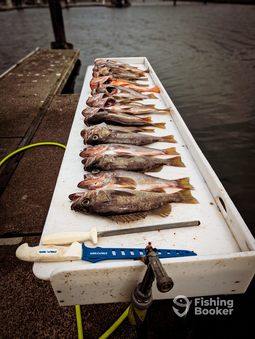 Winchester Bay Report Photo 0