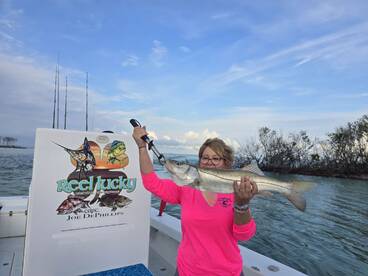 St. Petersburg Report Photo 1